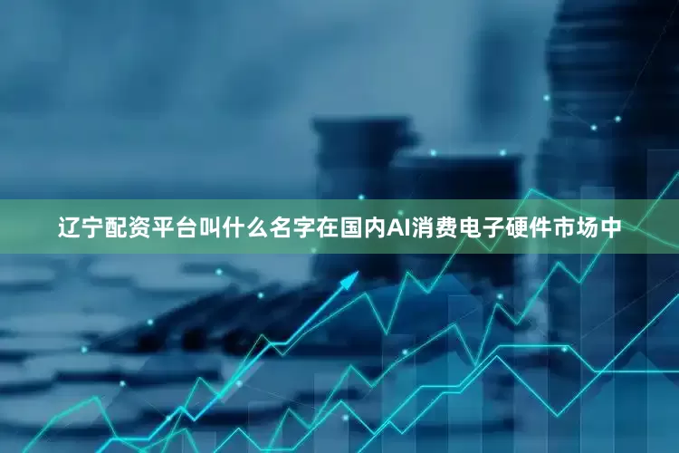 辽宁配资平台叫什么名字在国内AI消费电子硬件市场中