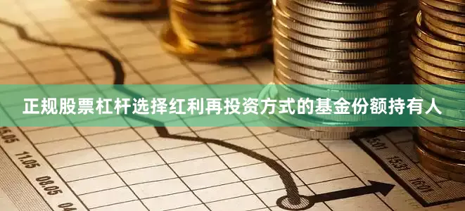正规股票杠杆选择红利再投资方式的基金份额持有人