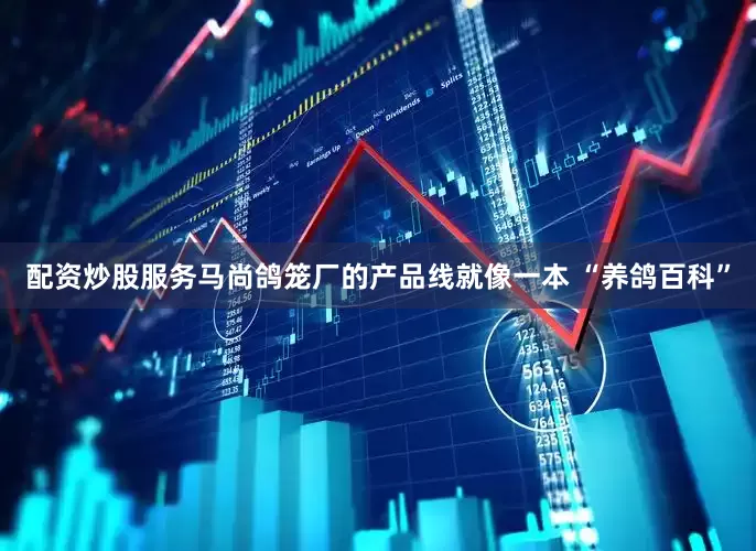 配资炒股服务马尚鸽笼厂的产品线就像一本 “养鸽百科”