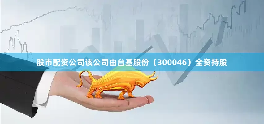股市配资公司该公司由台基股份（300046）全资持股